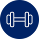 Treino